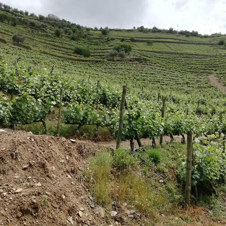 Quinta Da Nogueira Gasthof *