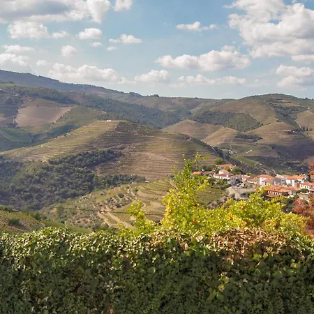Quinta Da Nogueira